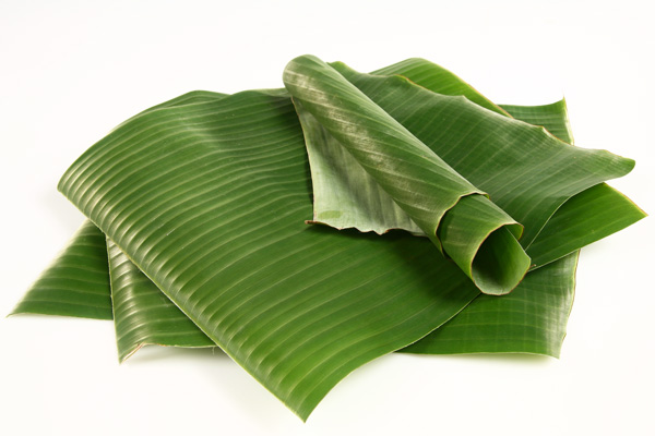 Banana Leaf