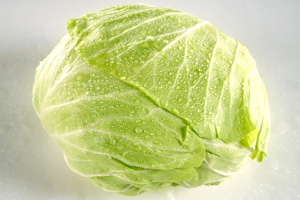 Beijing Cabbage