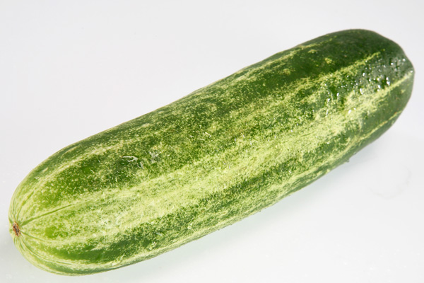 Cucumber