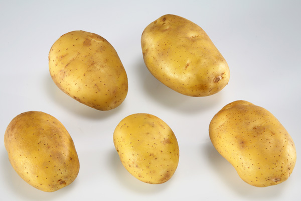 Potato