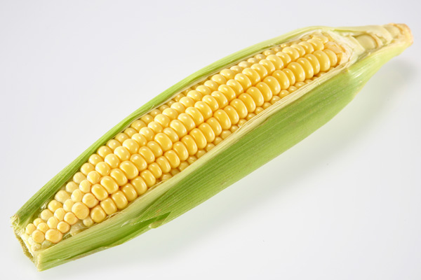 Sweet Corn