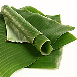 Banana Leaf