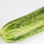 Cucumber