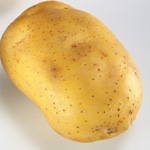 Potato