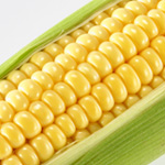 Sweet Corn