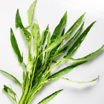 Water Spinach